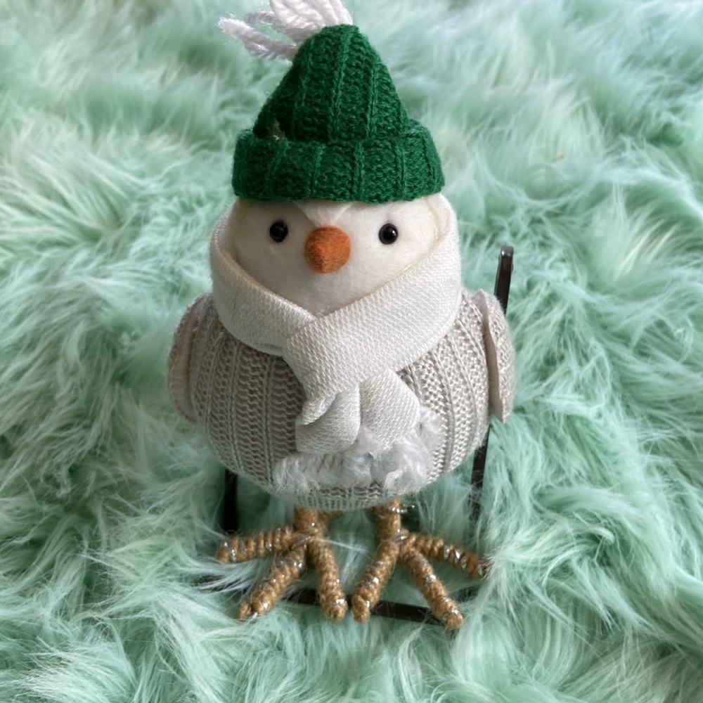 Target winter bird 2018 Juniper